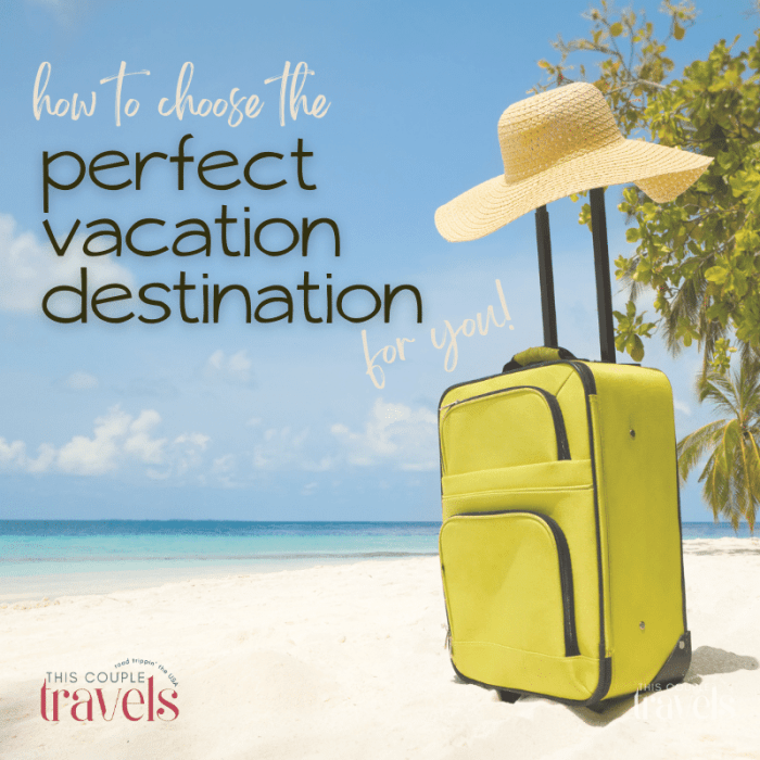 Vacation right disc personality style choose understanding