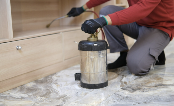 Rekomendasi Jasa Anti Rayap Terbaik untuk Lindungi Rumah dari Kerusakan